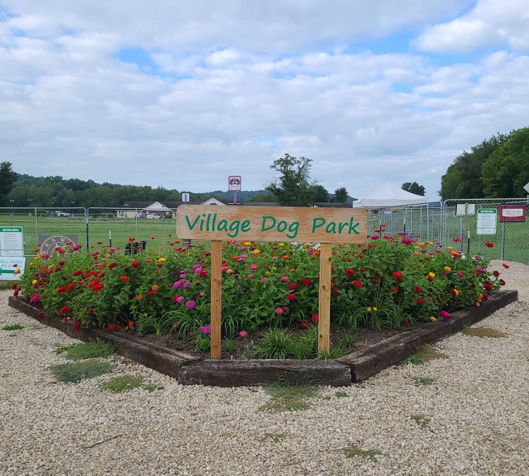 village-dog-park-photo